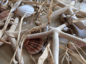 Starfish Garland