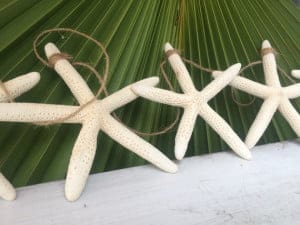 Starfish Garland