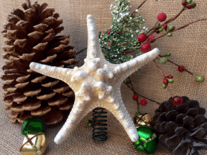 Starfish Christmas Tree Topper