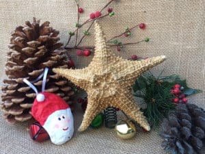 Caribbean Starfish Christmas Tree Topper