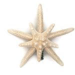 Double Starfish with Knobby Tree Topper
