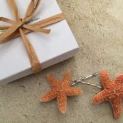 Sugar Starfish Bobby Pins Set