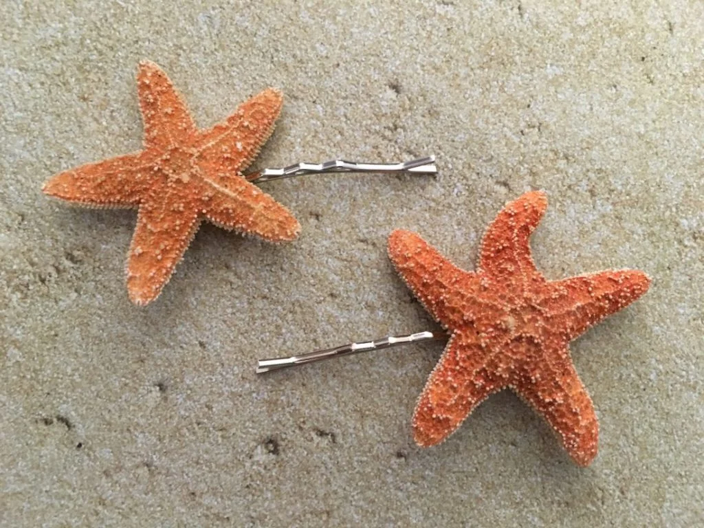 Sugar Starfish Bobby Pins Set - Image 7
