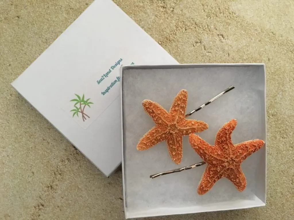 Sugar Starfish Bobby Pins Set - Image 6