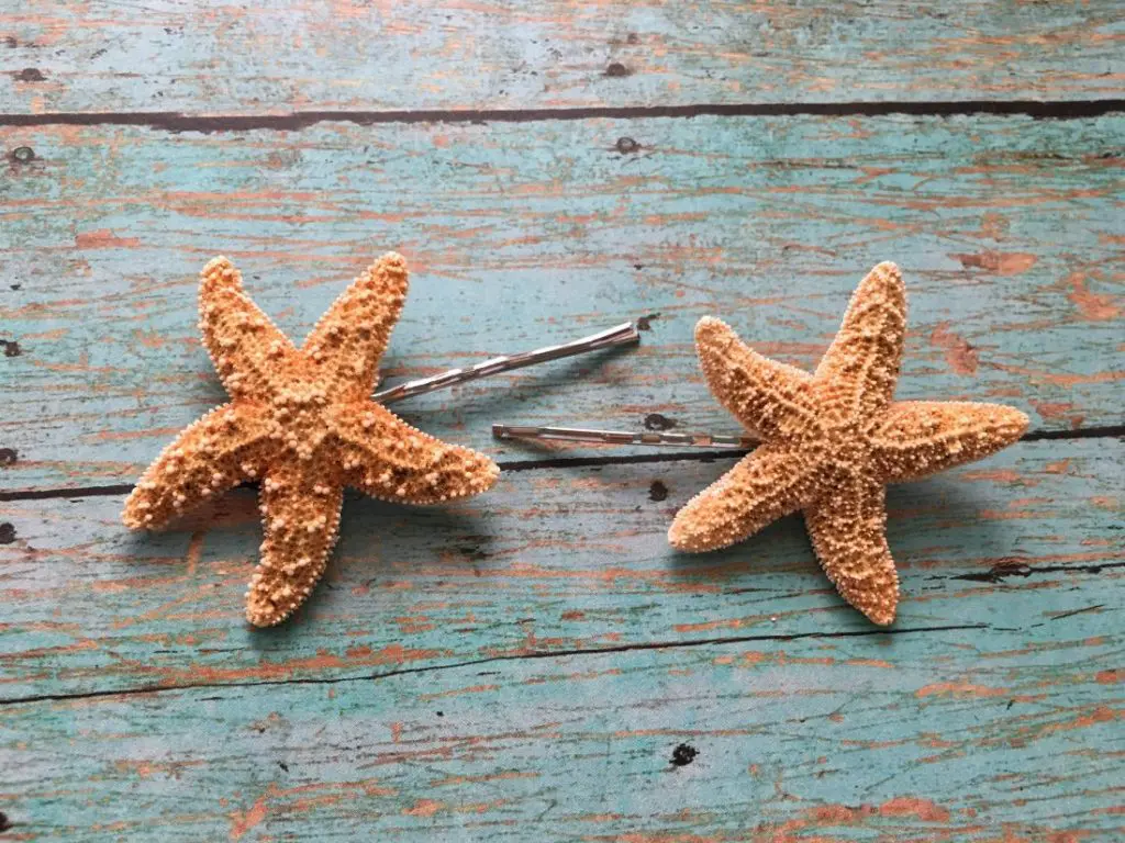 Sugar Starfish Bobby Pins Set - Image 3