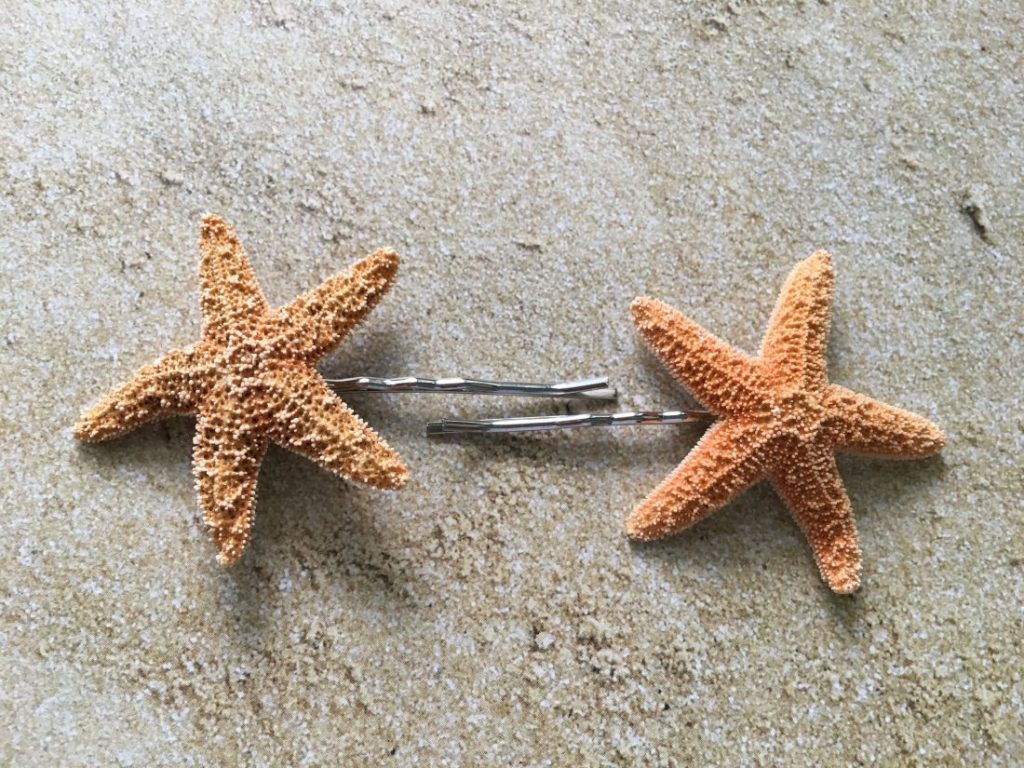 Sugar Starfish Bobby Pins Set - Image 2