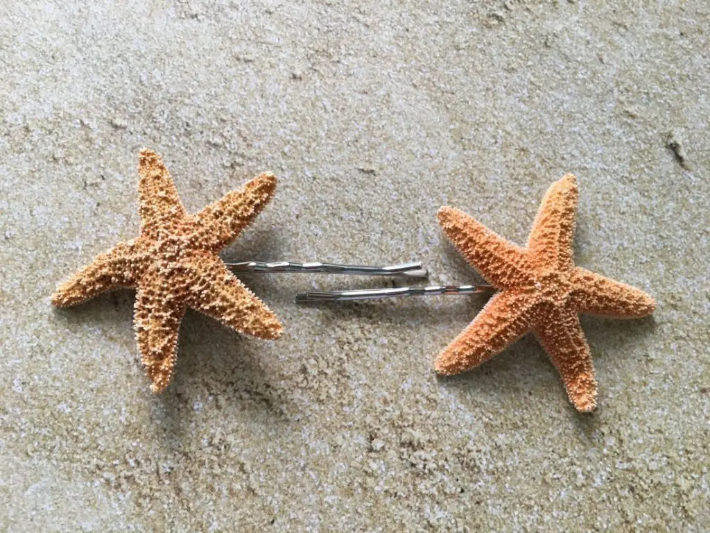 Sugar Starfish Bobby Pins Set - Image 2
