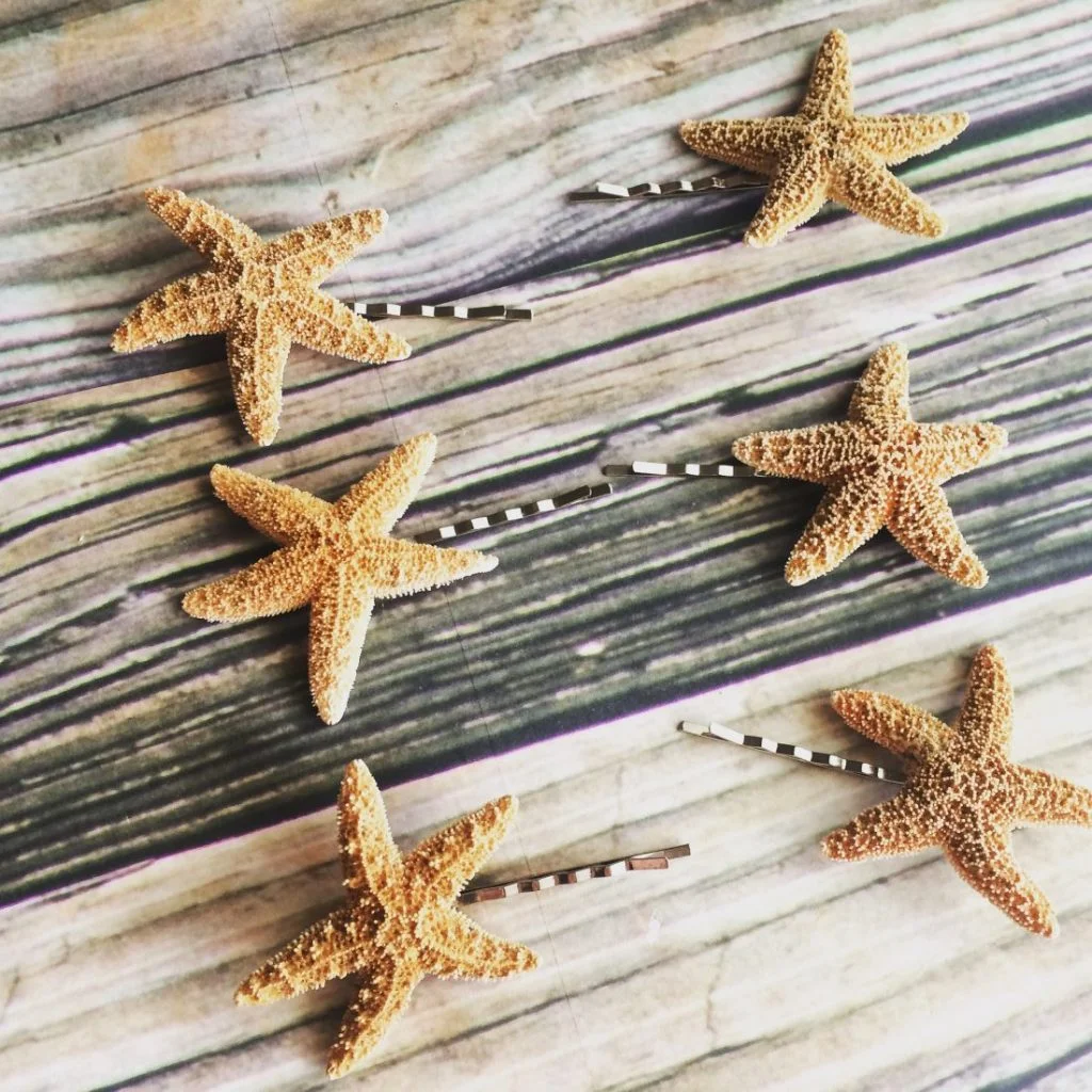 Sugar Starfish Bobby Pins Set - Image 5