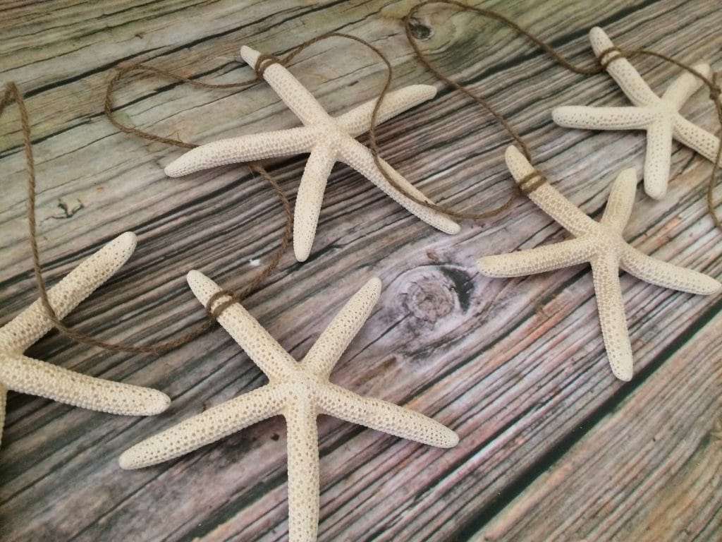 Starfish Christmas/Wedding Garland, 5ft - Image 3