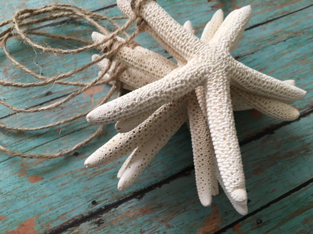 Starfish Christmas/Wedding Garland, 5ft - Image 4