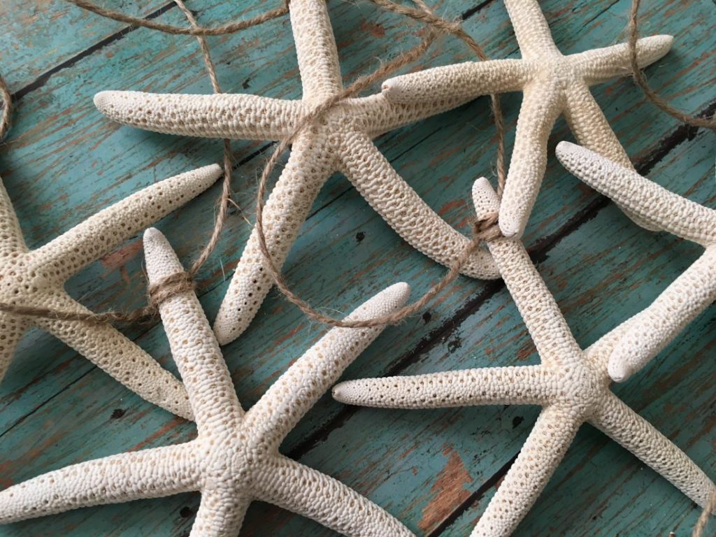 Starfish Christmas/Wedding Garland, 5ft - Image 7