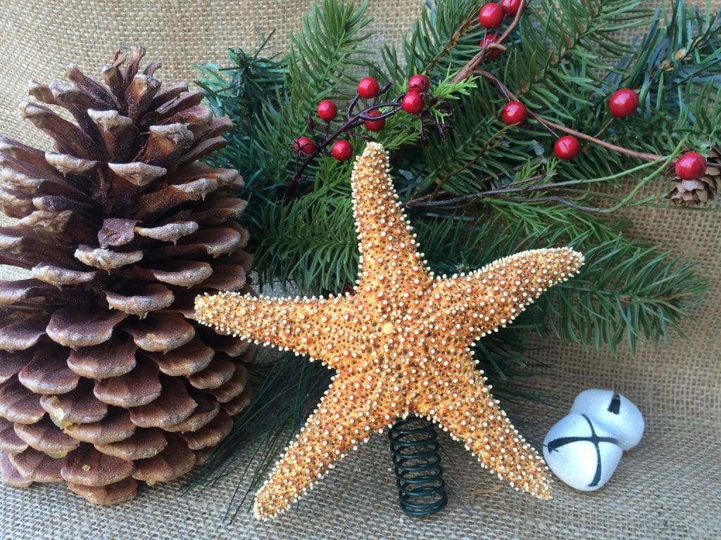 Sugar Starfish Tree Topper - Image 7