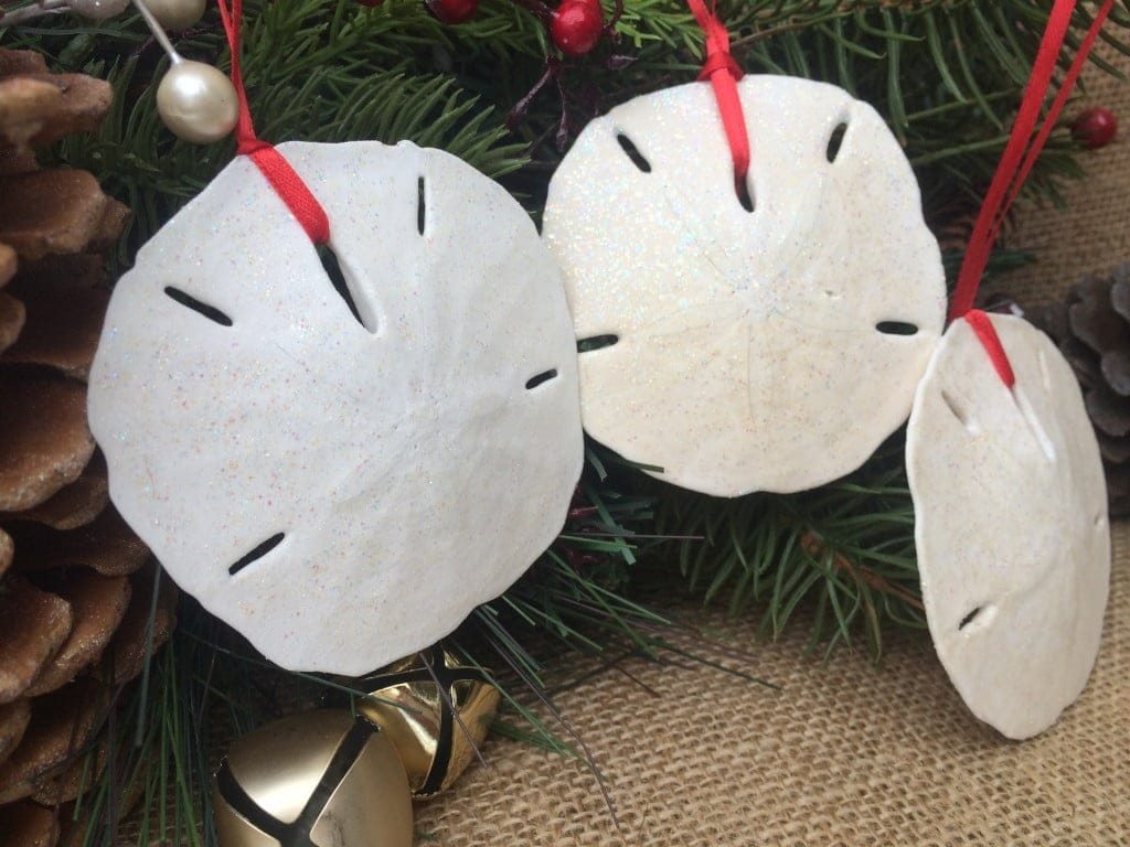 Glittered Large Sand Dollar Ornament Set, 6 - Image 6