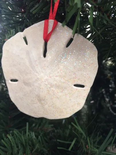 Glittered Large Sand Dollar Ornament Set, 6 - Image 4