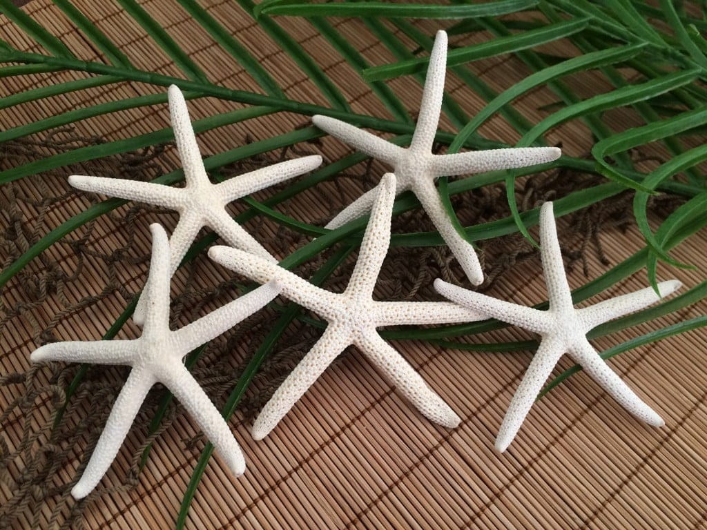 Finger Starfish Boutonniere Pin, Groom and Groomsmen Lapel Pin - Image 4