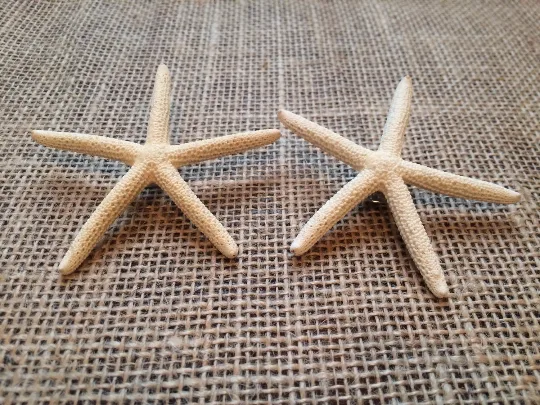 Finger Starfish Boutonniere Pin, Groom and Groomsmen Lapel Pin - Image 5