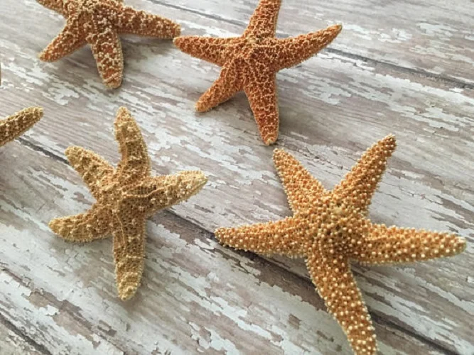 Sugar Starfish Boutonniere Pin, Bridal Party Accessory - Image 6