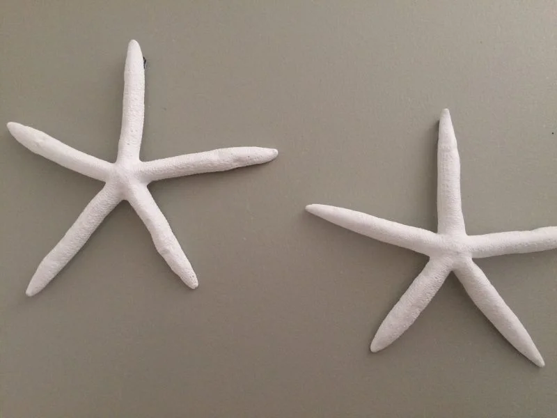 Starfish Wall Hangings, 2 - Image 2