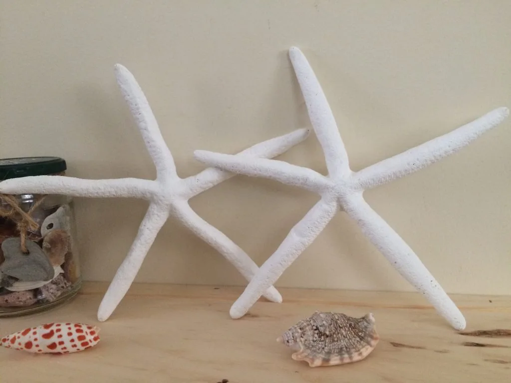 Starfish Wall Hangings, 2 - Image 5