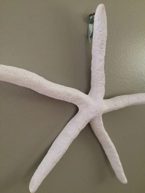 Starfish Wall Hangings, 2 - Image 4