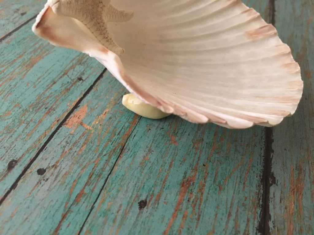 Seashell Jewelry Holder - Image 3