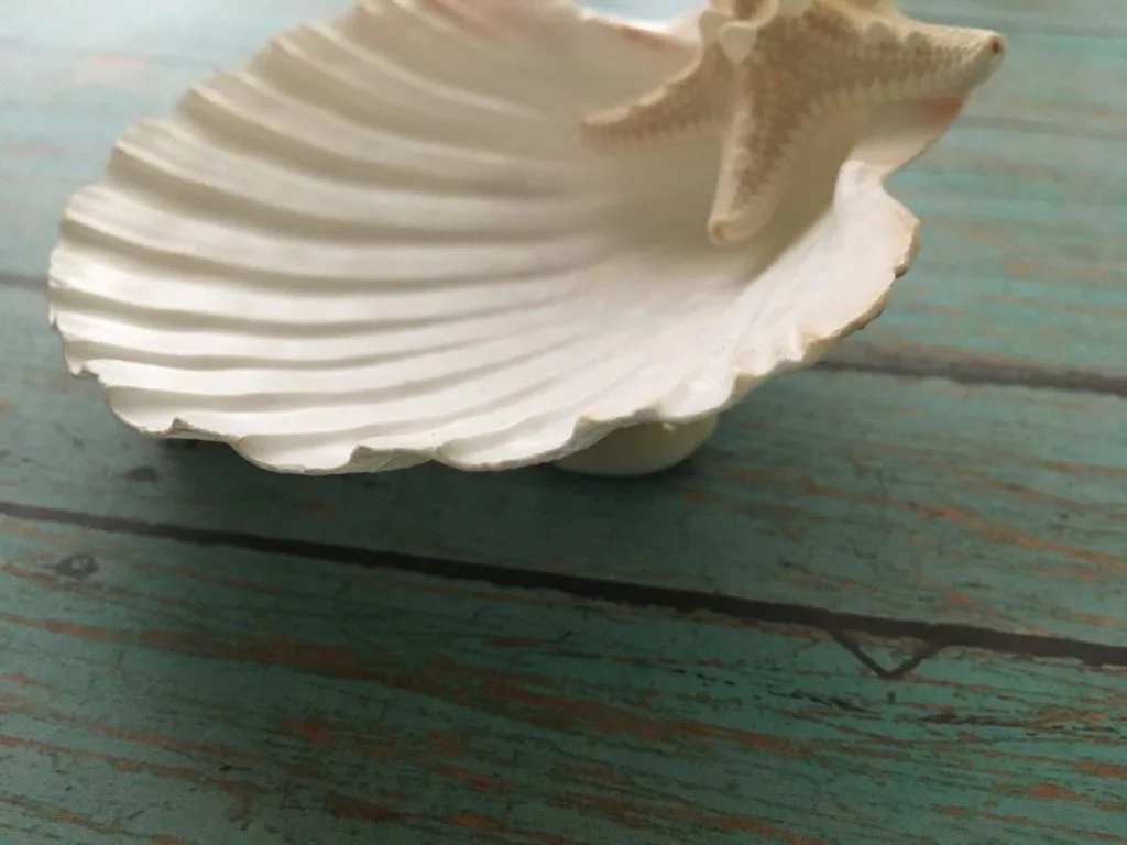 Seashell Jewelry Holder - Image 6