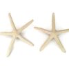 Finger Starfish Boutonnieres 2