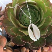 Cowrie Seashell Necklace 1