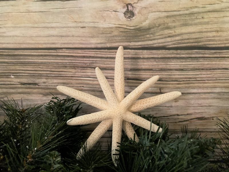 Double Finger Starfish Christmas Tree Topper