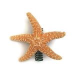 Mini Sugar Starfish Tree Topper