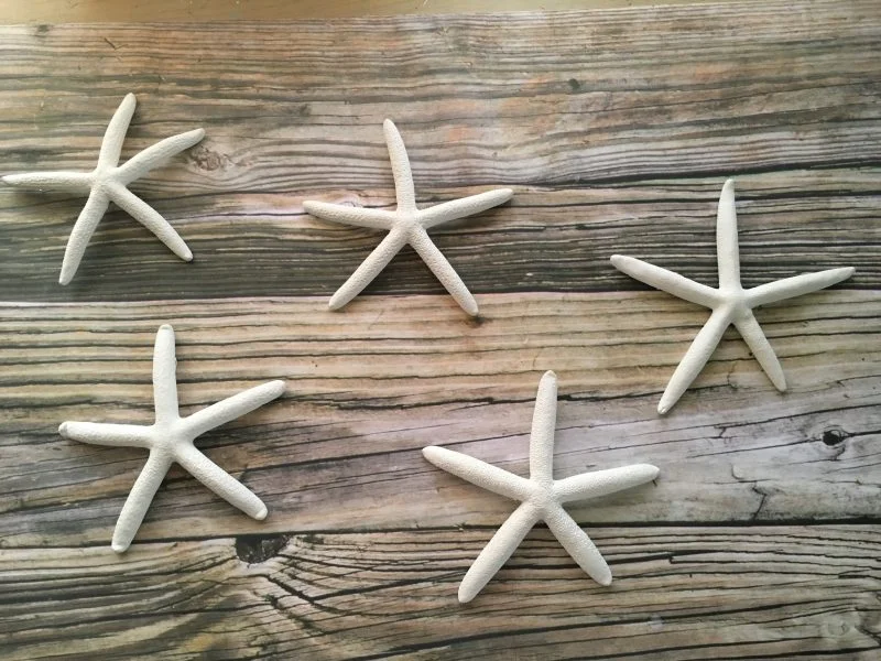 Small White Finger Starfish Wall Hangings, 5