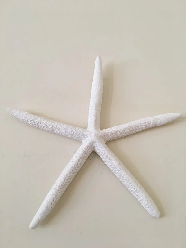Large Finger Starfish Wall Hanging - Image 4