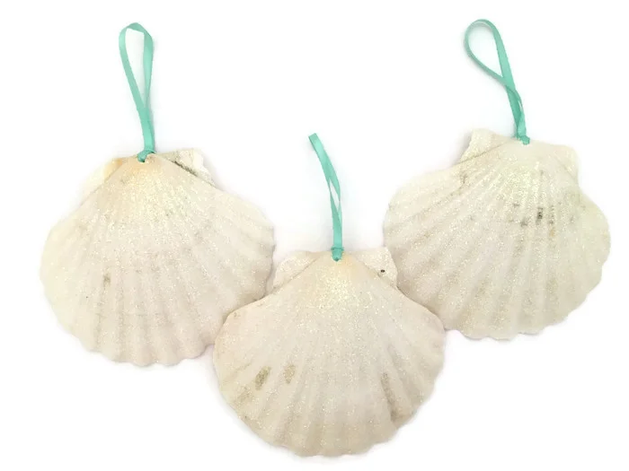 White seashell ornaments 3