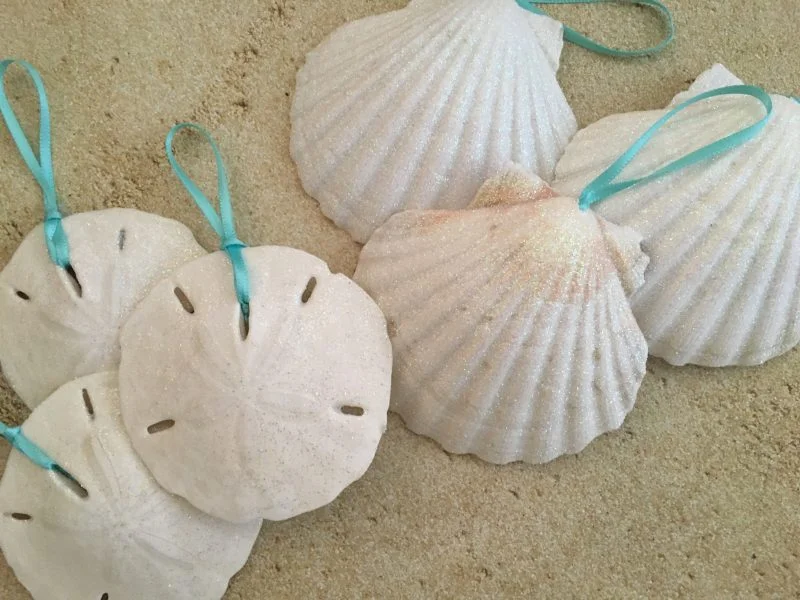 Large White Seashell and Sand Dollar Christmas Ornaments with Turquoise ribbon,6 - Image 9