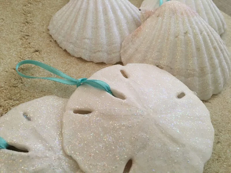 Large White Seashell and Sand Dollar Christmas Ornaments with Turquoise ribbon,6 - Image 8