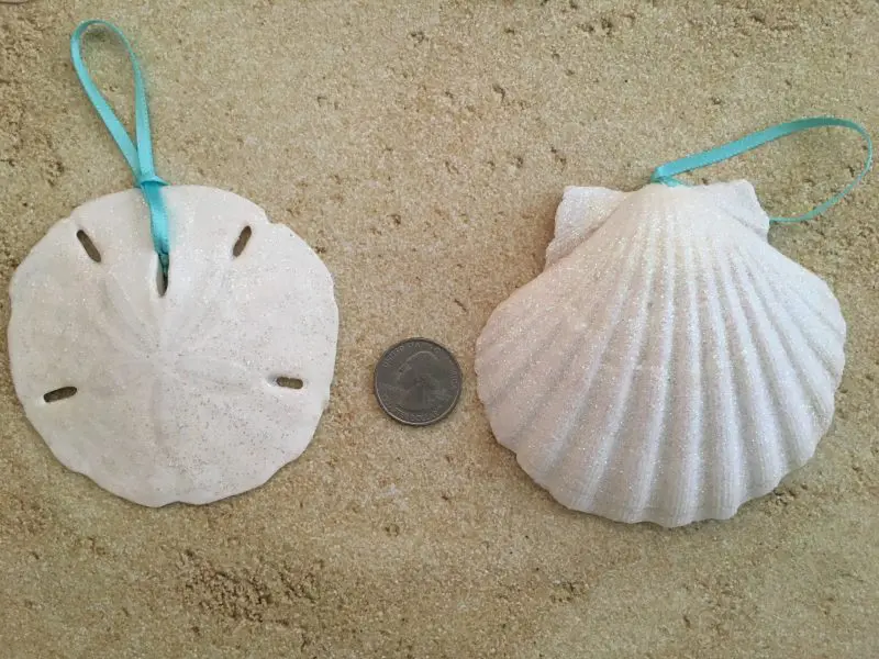 Large White Seashell and Sand Dollar Christmas Ornaments with Turquoise ribbon,6 - Image 2