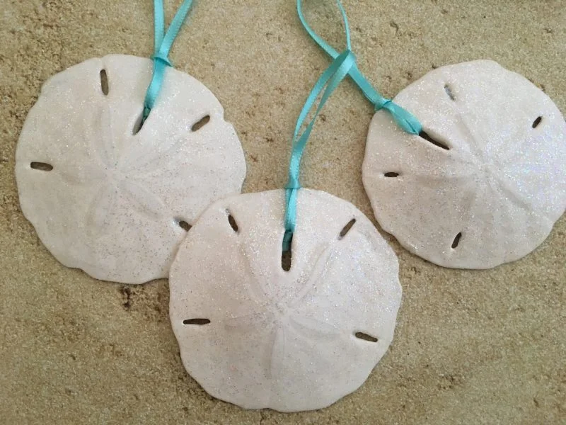 Large White Seashell and Sand Dollar Christmas Ornaments with Turquoise ribbon,6 - Image 7