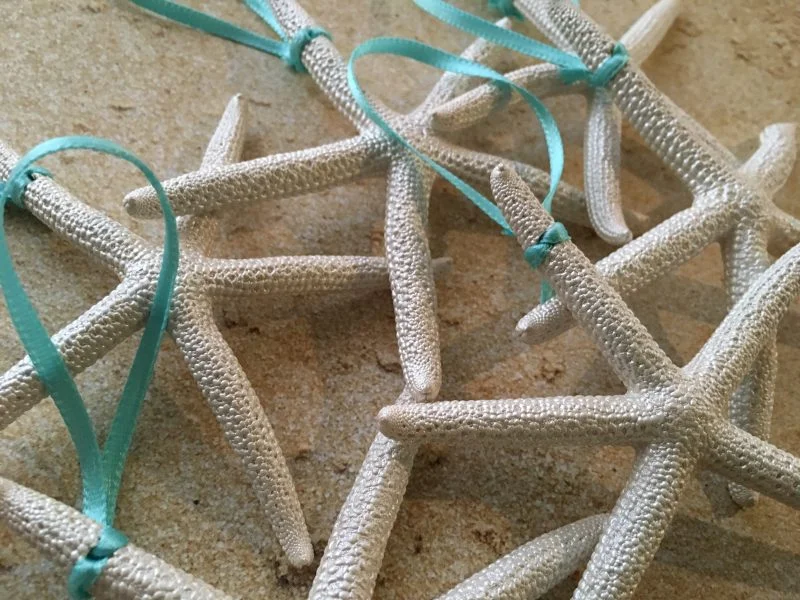 Pearl Finger Starfish Ornaments, 6 - Image 6