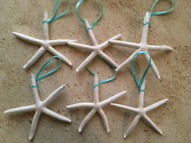 Pearl Finger Starfish Ornaments, 6