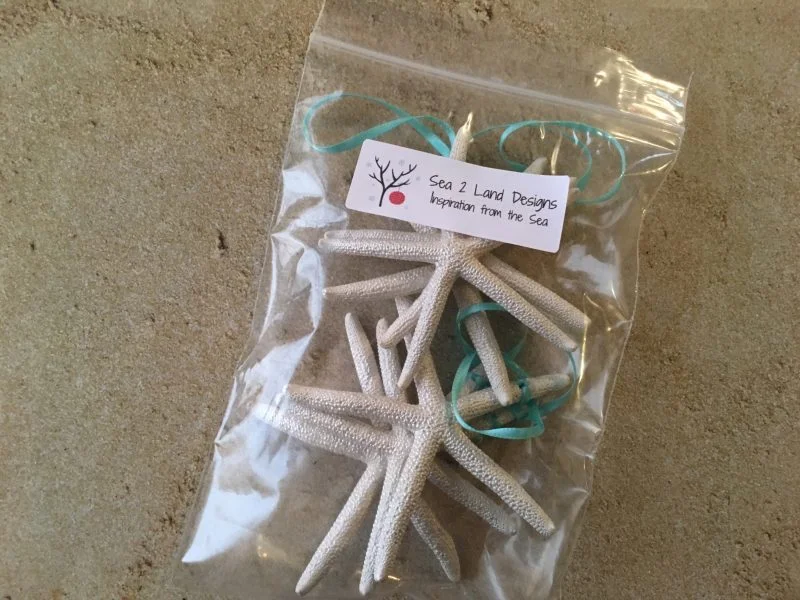 Pearl Finger Starfish Ornaments, 6 - Image 3