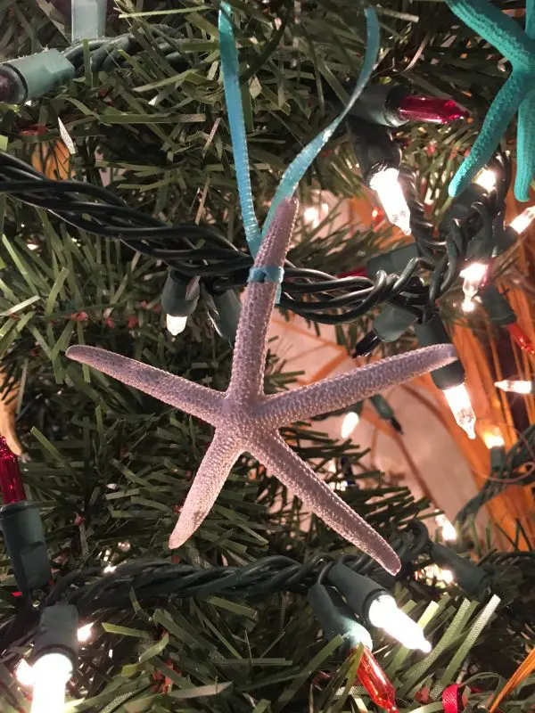 Pearl Finger Starfish Ornaments, 6 - Image 4