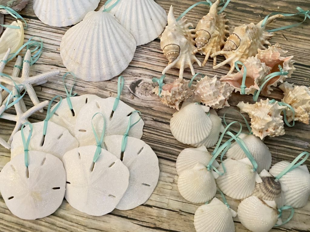 Deluxe Tropical Christmas Seashell Package - Image 3