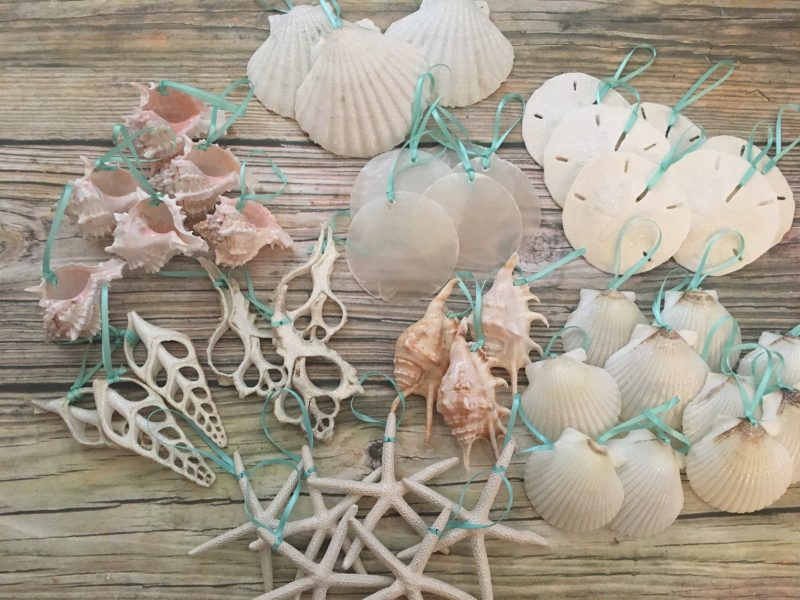 Deluxe Tropical Christmas Seashell Package | Sea 2 Land Designs