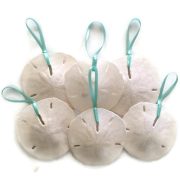 Large Sand Dollar Ornaments Set 6