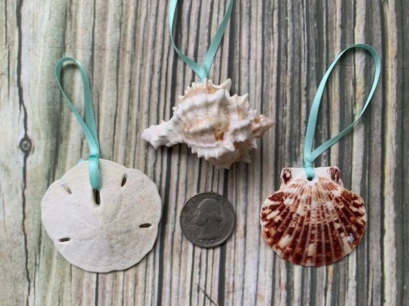Standard Beach Seashell Ornament Christmas Package - Image 2