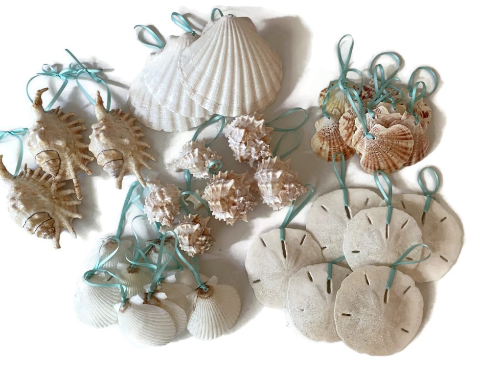 Tropical Seashell Ornament Christmas Package - Image 8