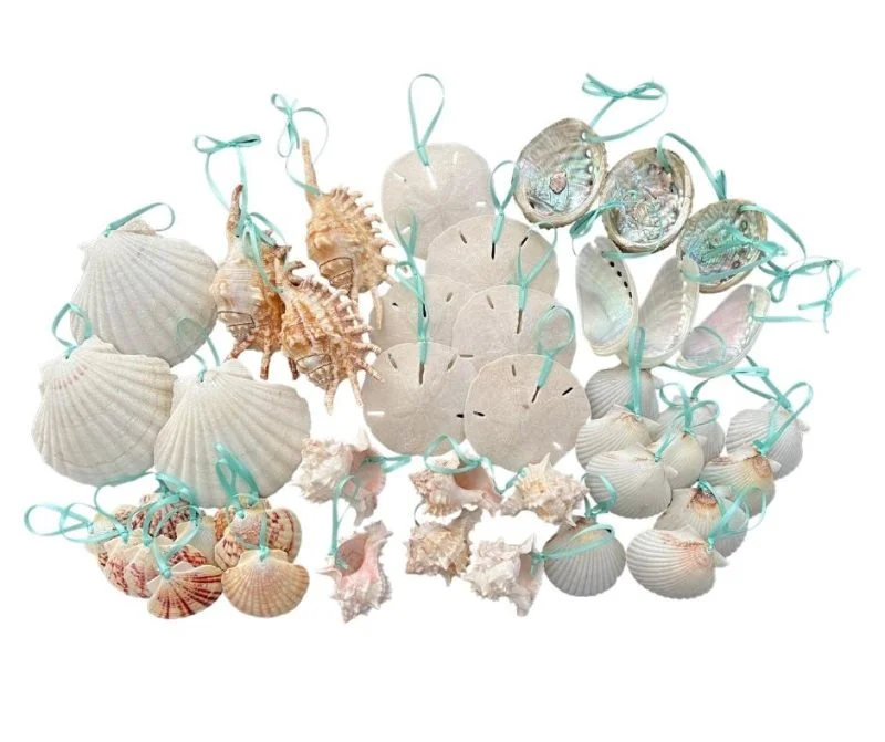 deluxe seashell ornament package