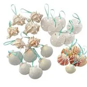 standard seashell ornament package