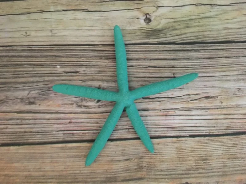 Turquoise Finger Starfish Wall Decor - Image 6