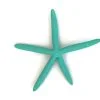 Turquoise Finger starfish wall hanging